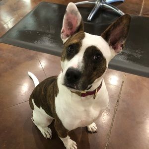 Meet your Posher, Michele